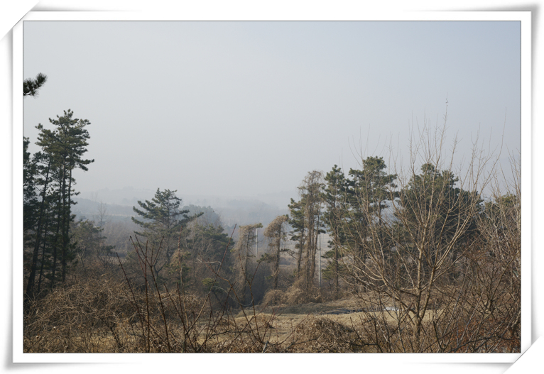 [505] 동춘지간(冬春之間)의 나무풍경