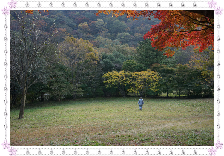 2012가을 내장사