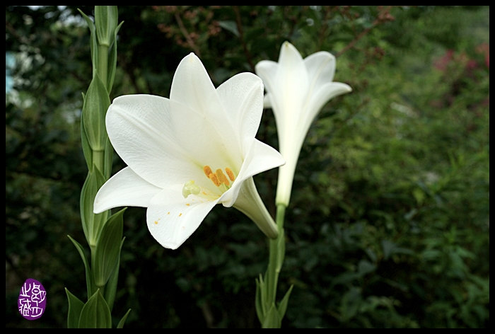 同行三十年