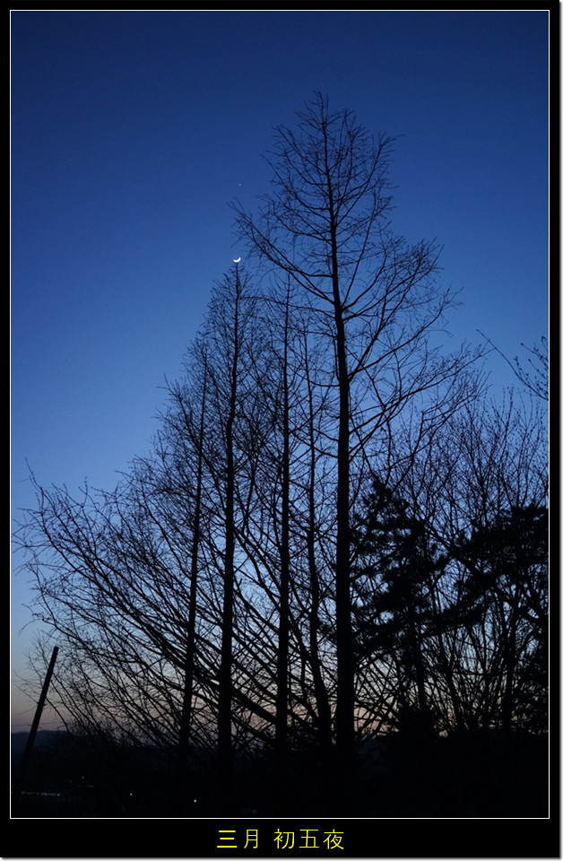 三月 初五夜