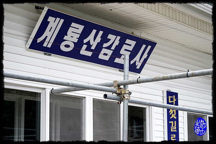 말벌집을 철거하라~!