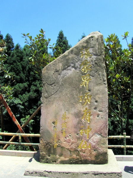 정상신선석