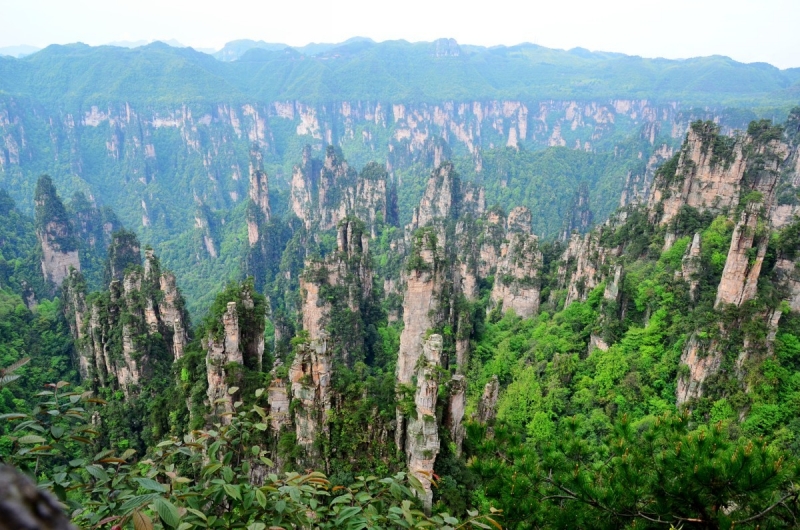 천자산 (8)