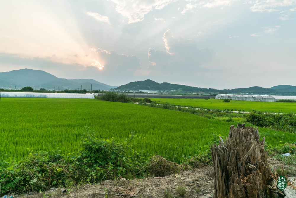시공일여(時空一如)