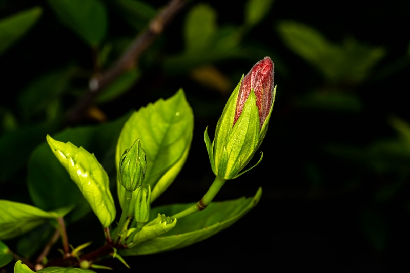 02_yeong20190916-17