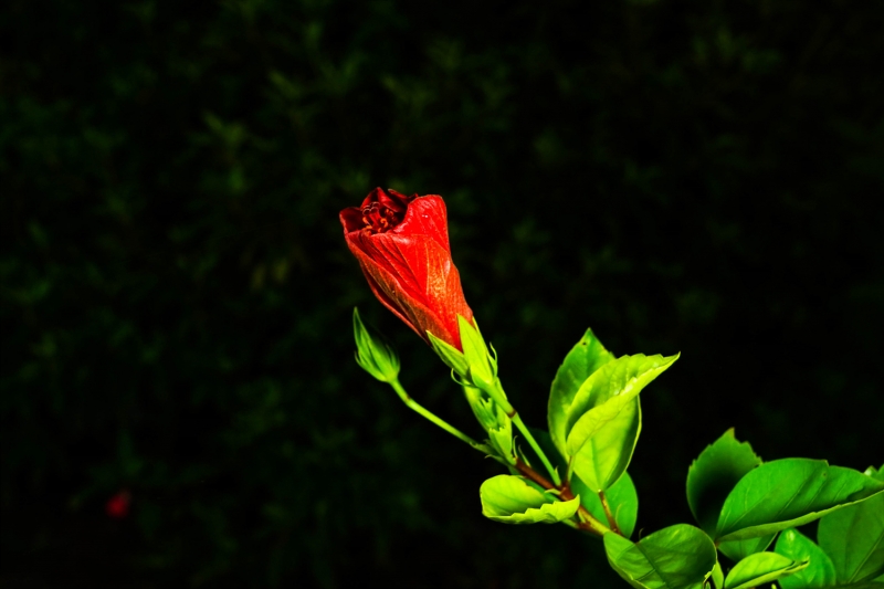 03_yeong20190916-02
