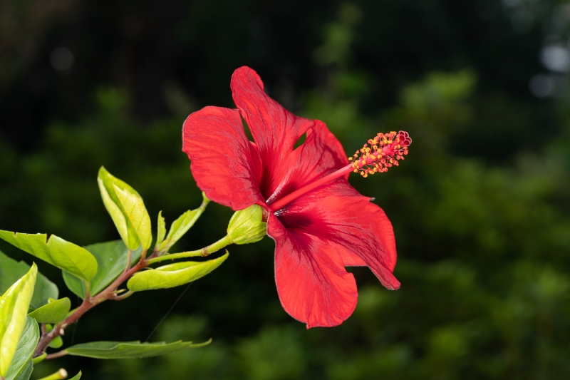 05_yeong20190916-06