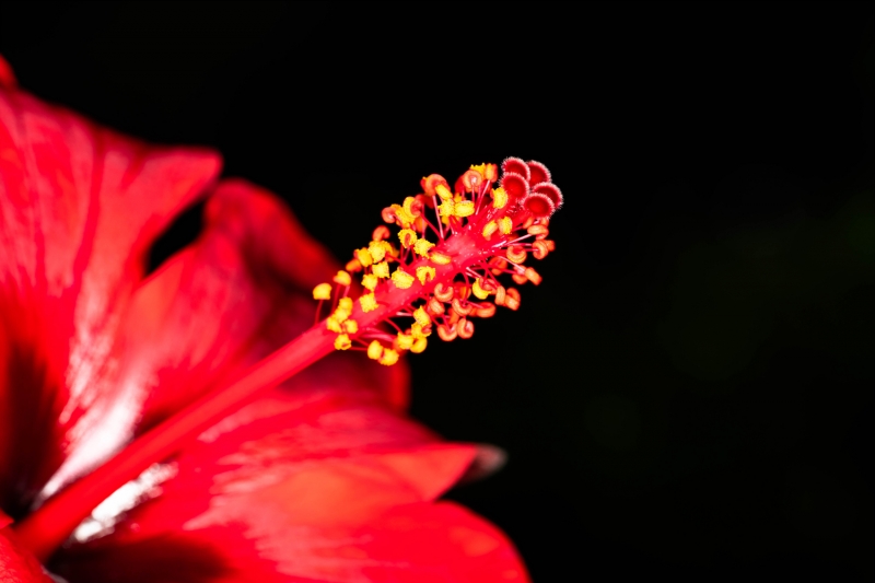 06_yeong20190916-10