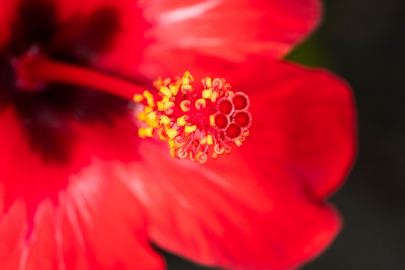 07_yeong20190916-07