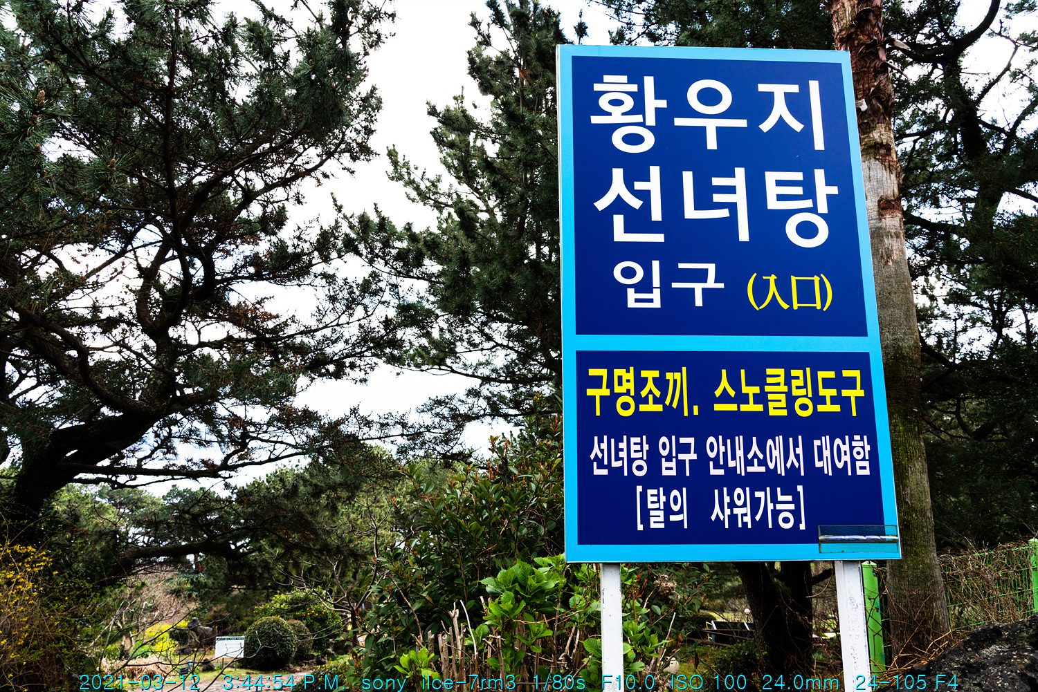 제주반달(25) 선녀탕(外)