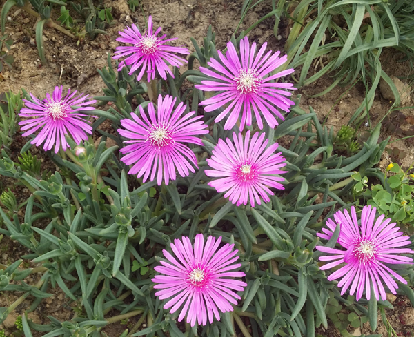 [633] 인생의 춘하추동, 하루의 춘하추동