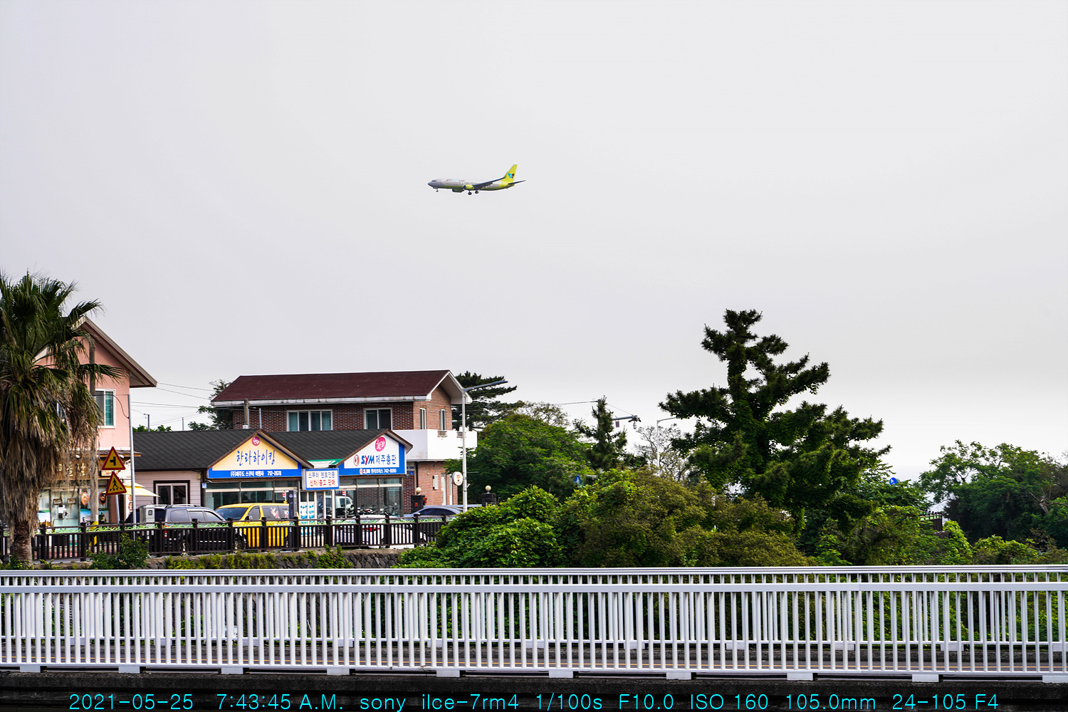 제주반달(62) 용연계곡
