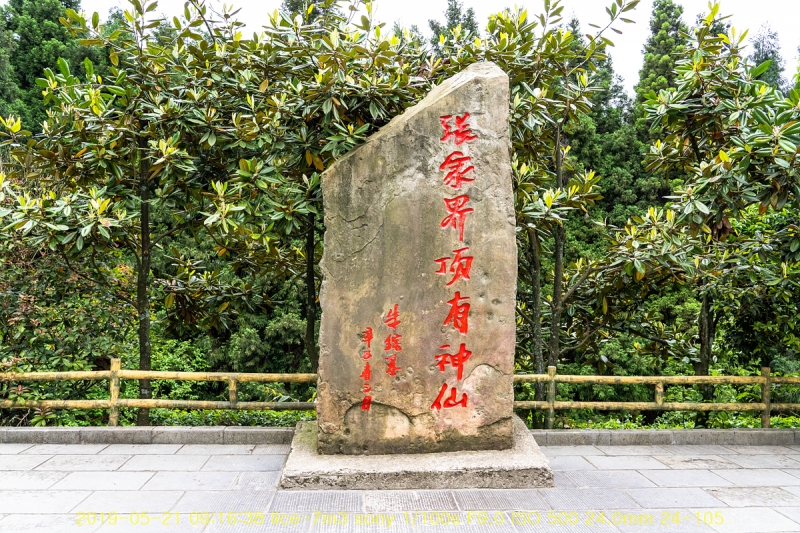 [장가계-12] 황석채 오지봉