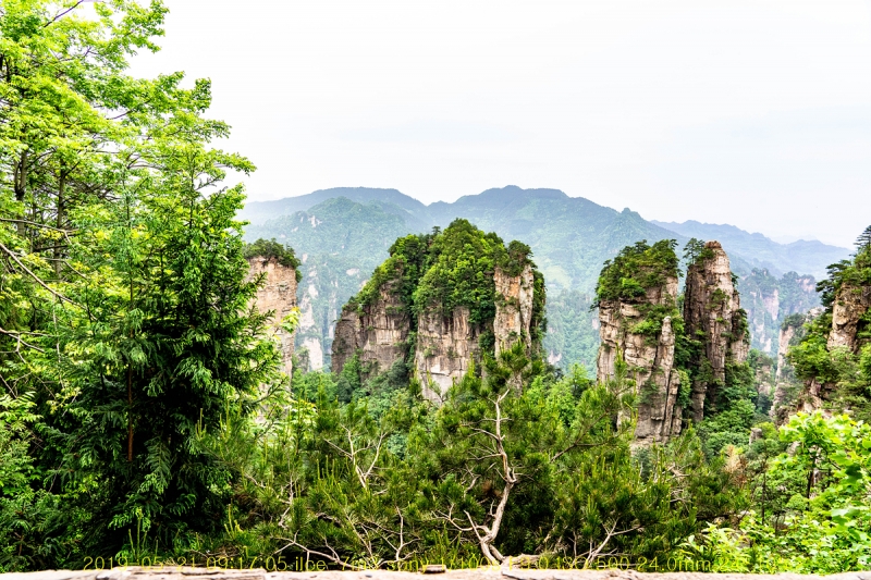 5ji-20190605-05