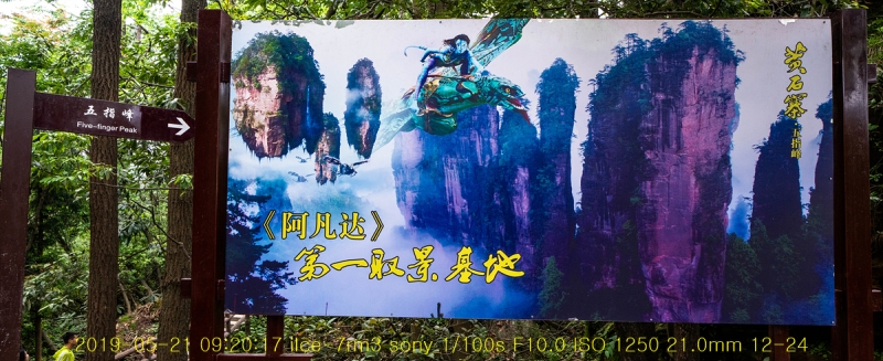 5ji-20190605-11