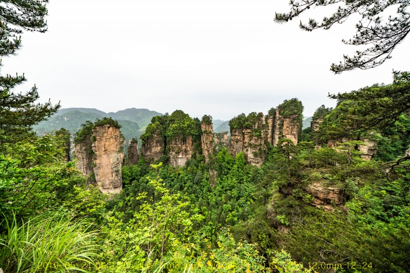 5ji-20190605-14