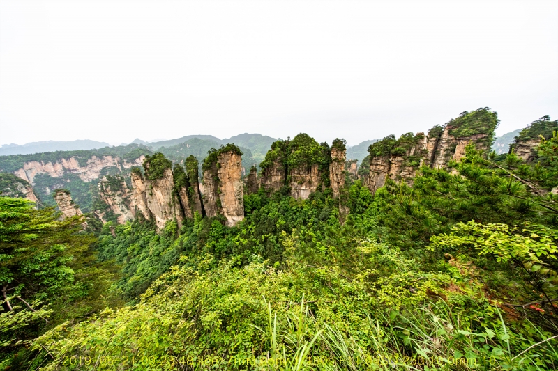 5ji-20190605-21