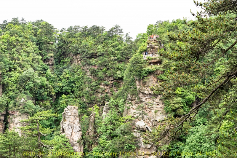 5ji-20190605-29
