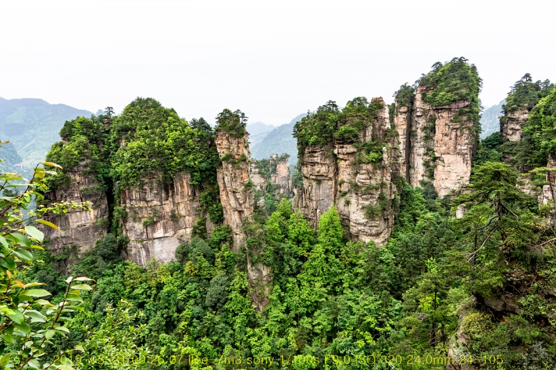 5ji-20190605-30