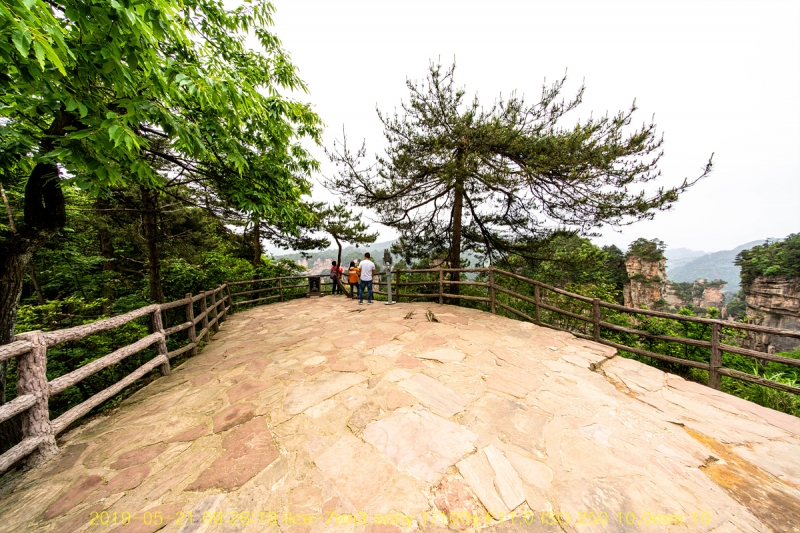 5ji-20190605-39