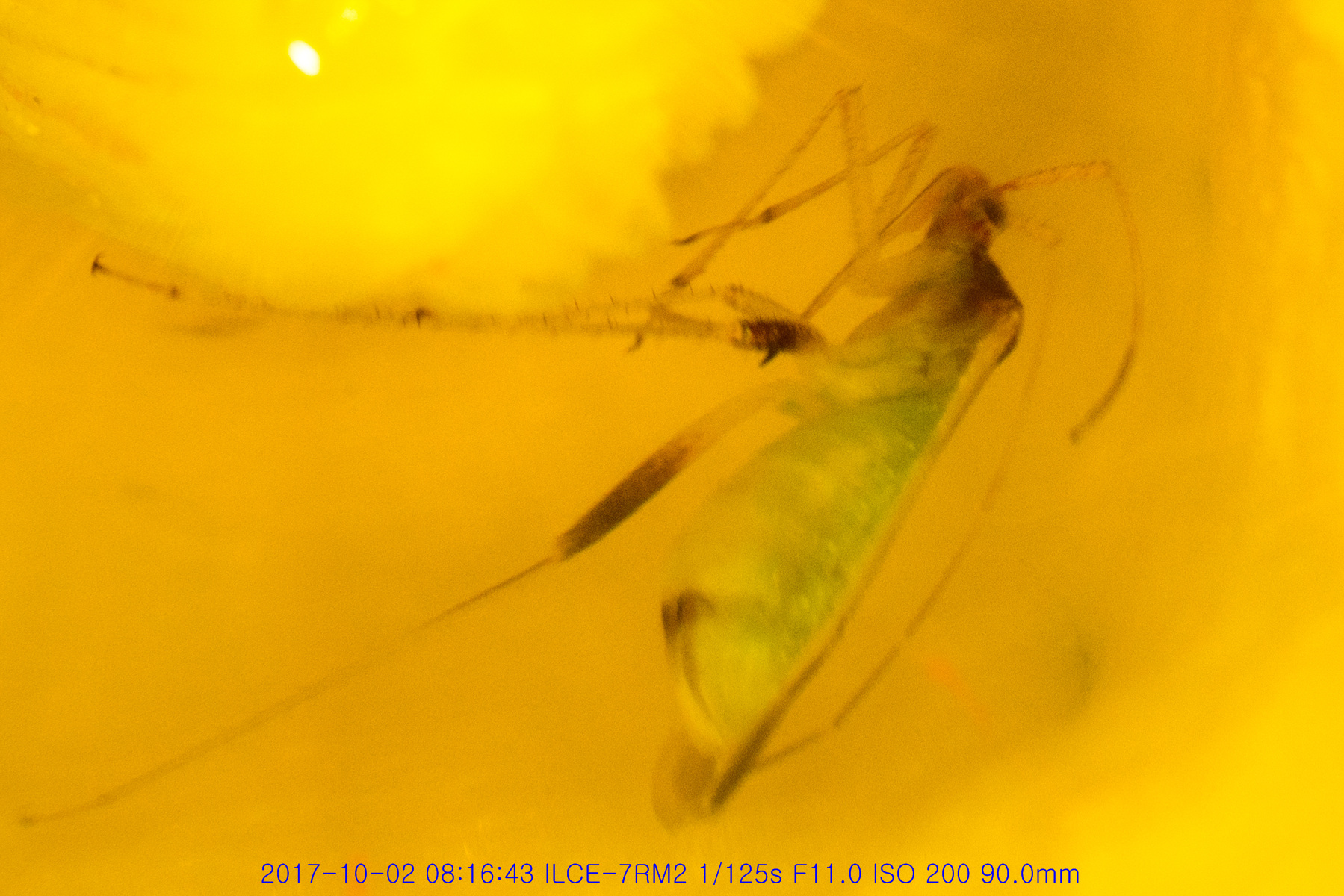 거기서 뭐하노?