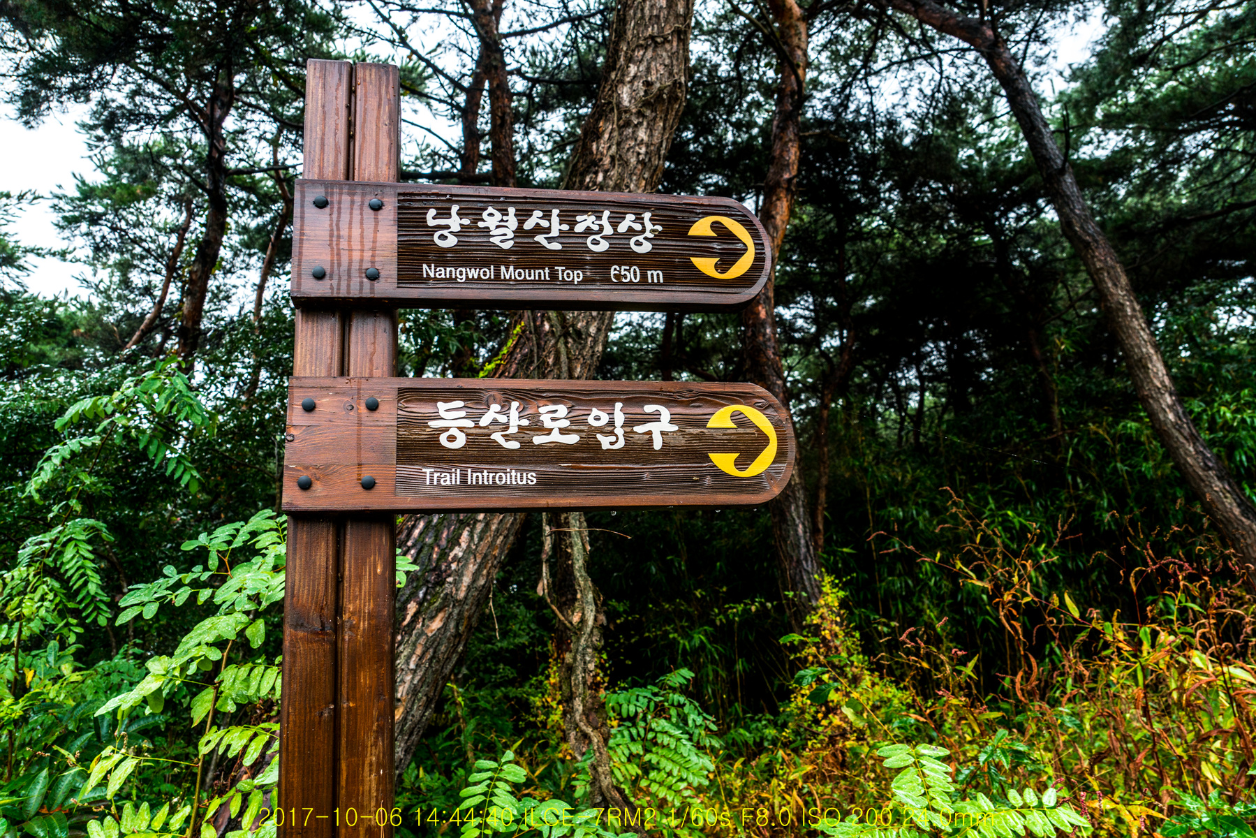 빗속의 낭월산