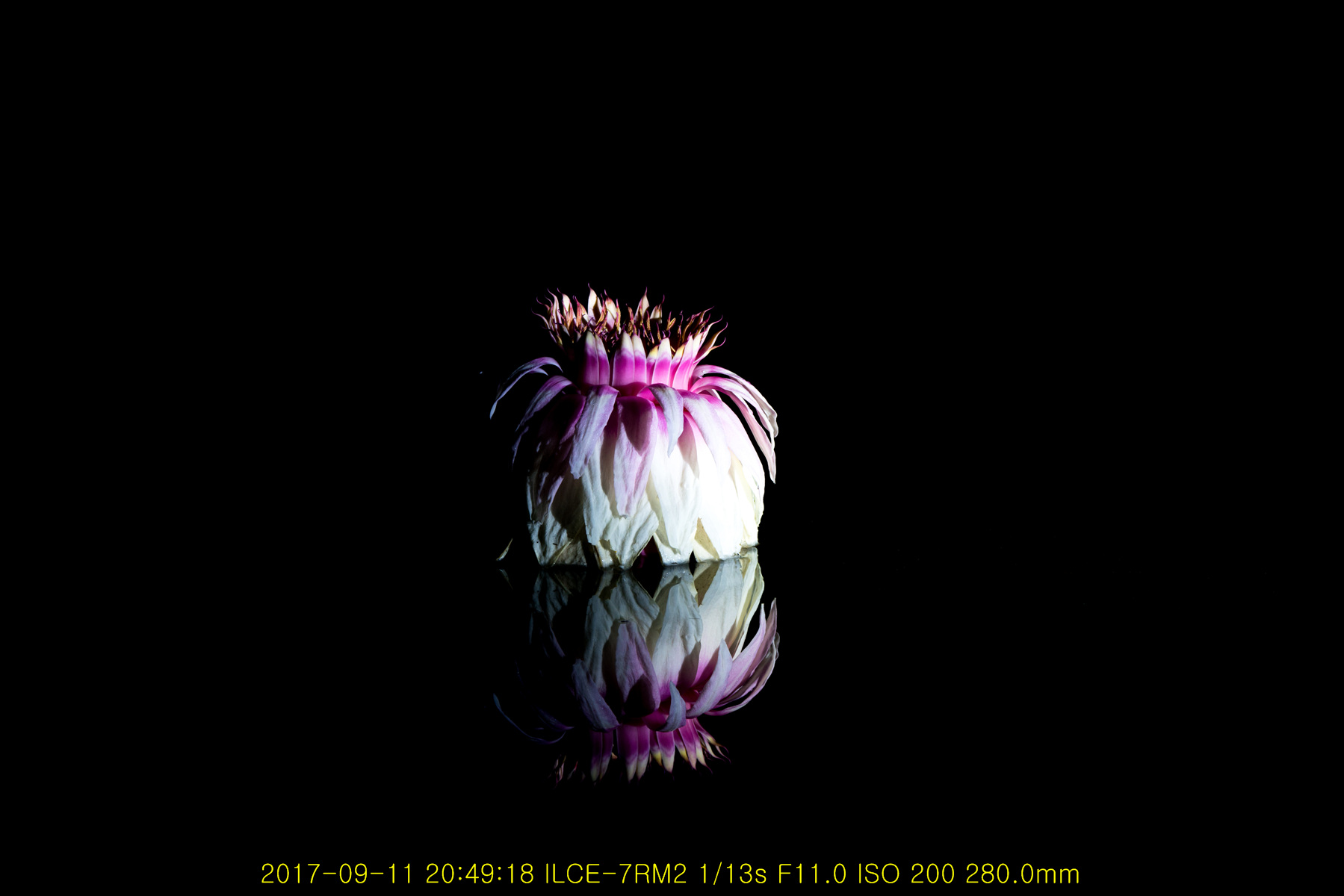 회상(回想)