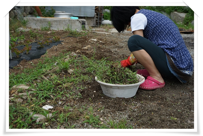 마당 매는 사람과 밭 매는 사람
