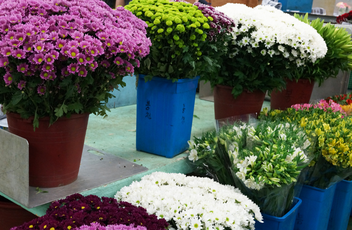 생화(生花), 아니고 선화(鮮花)~!