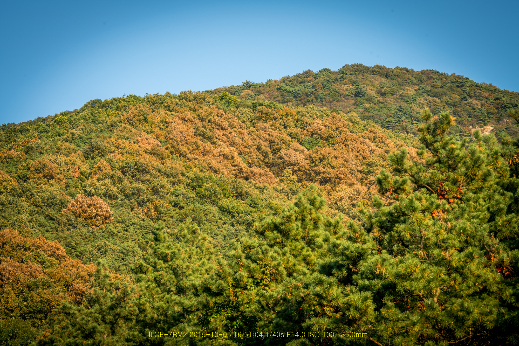 뒷산풍경