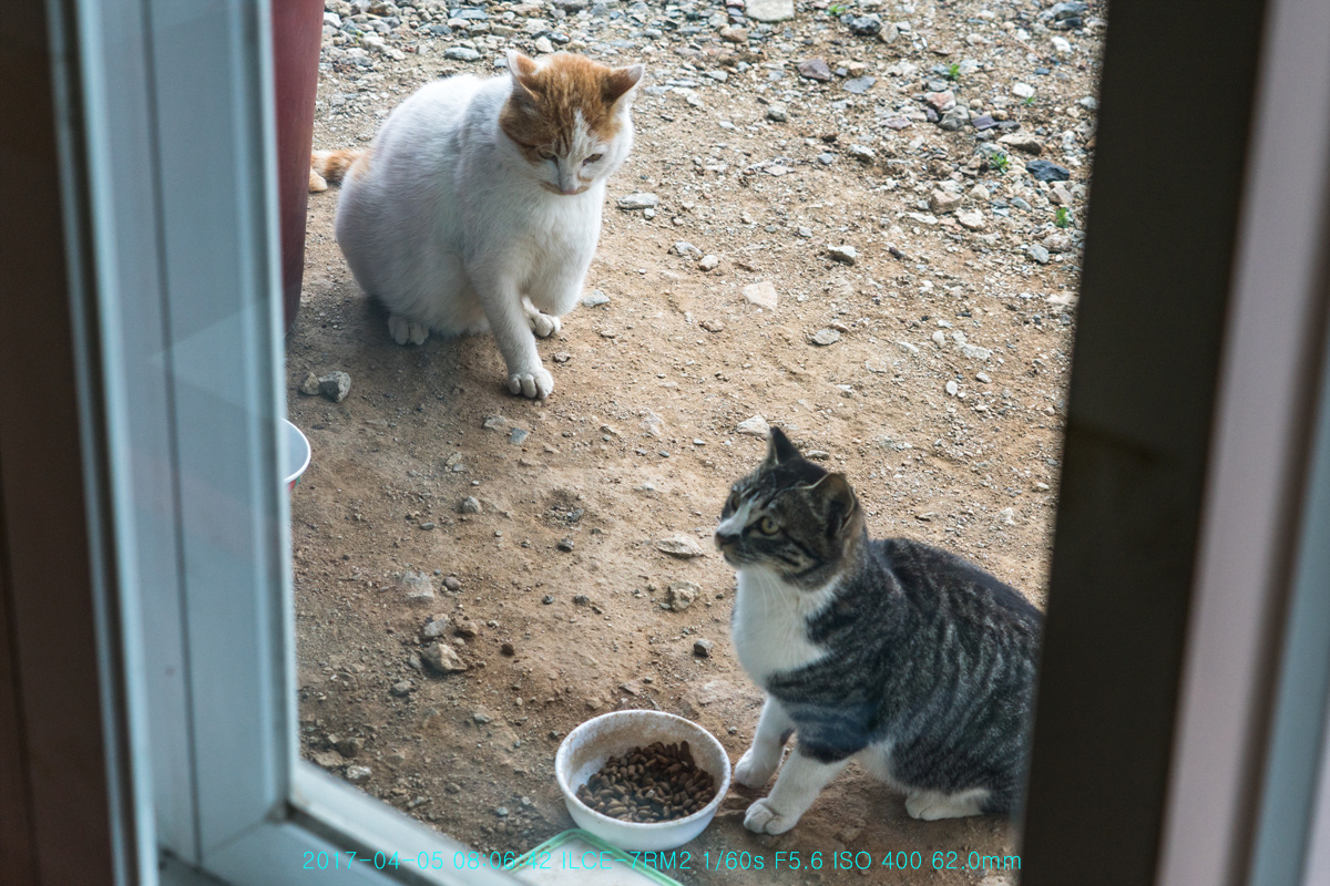 밥손님과 밥도둑