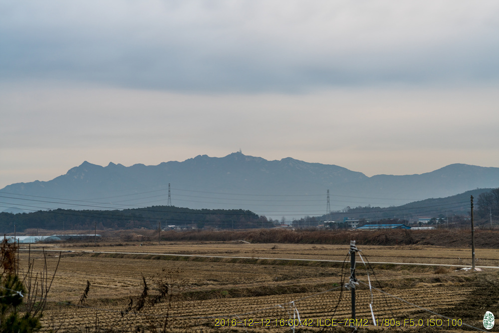 겨울풍경