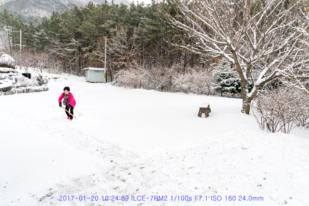 겨울은 겨울 다워야지.