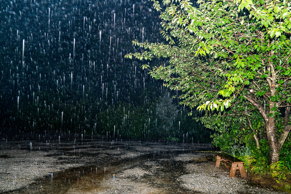 야간폭우(夜間暴雨)