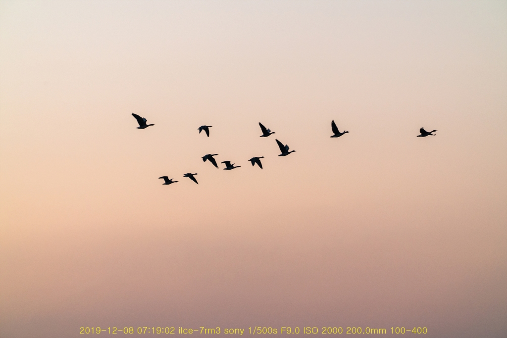 JU2 20191211-18