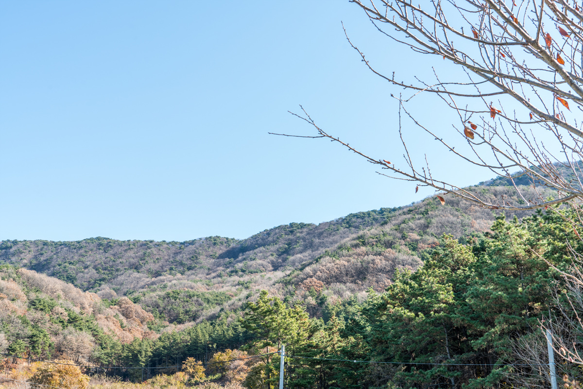 끝에서 꿈꾼다.
