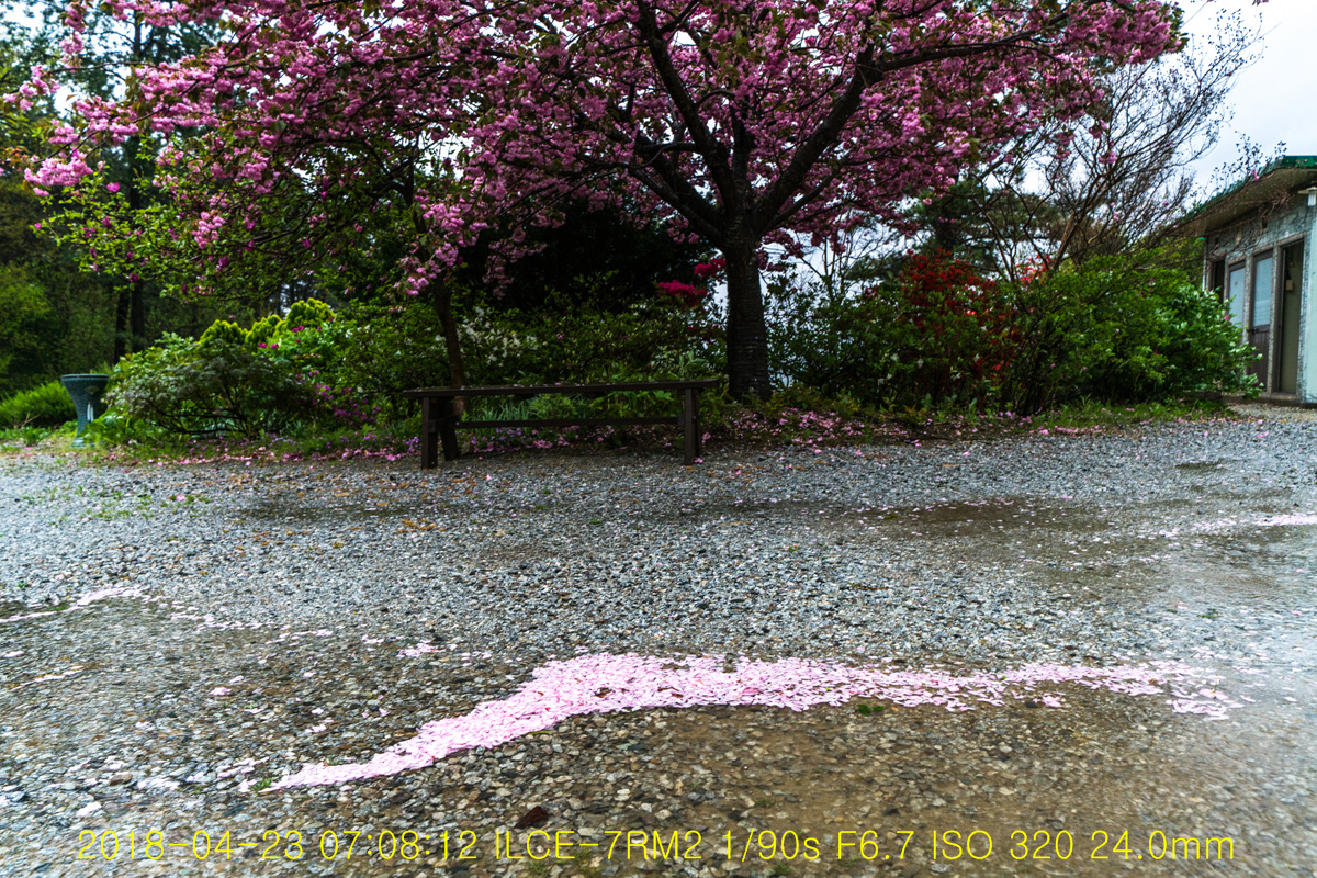 장화음(葬花吟)