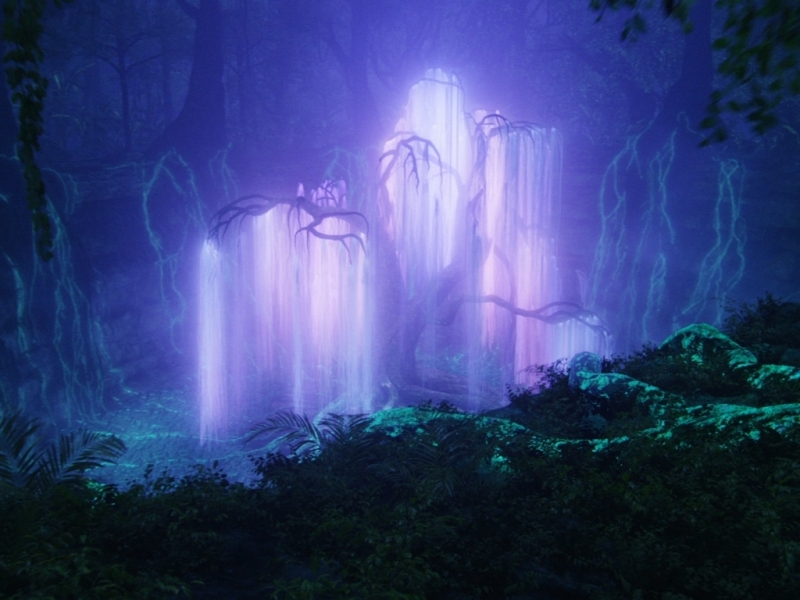 Tree-of-Souls-avatar-18906635-1024-768