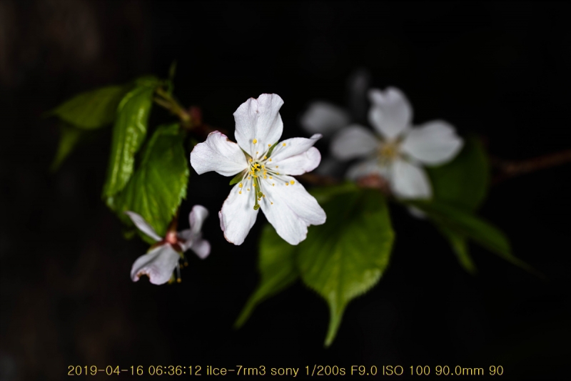 ag-20190416-01
