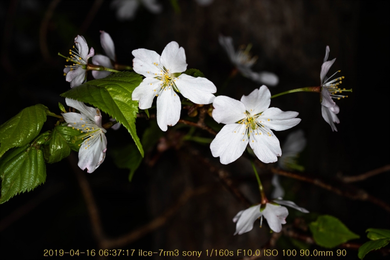 ag-20190416-02