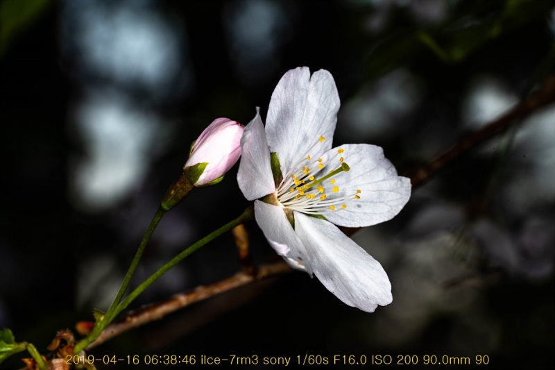 ag-20190416-04
