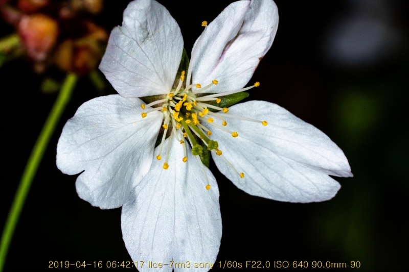 ag-20190416-09