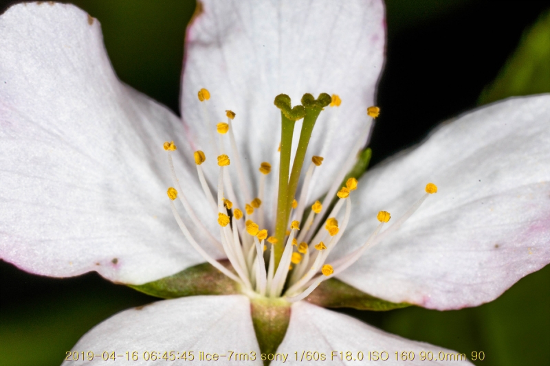 ag-20190416-12