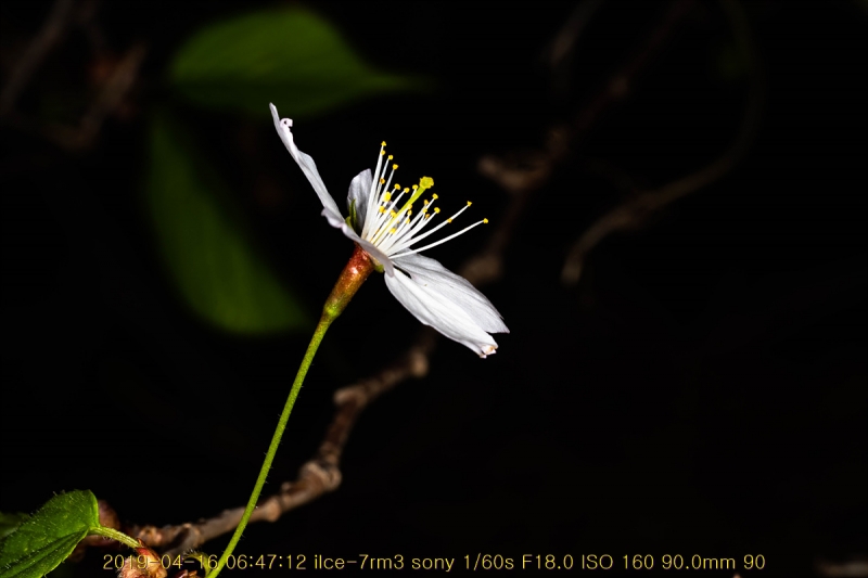 ag-20190416-14