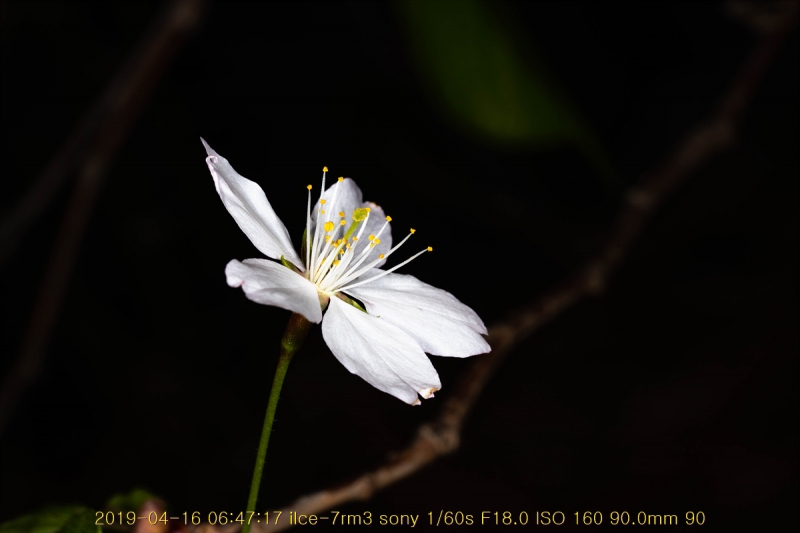 ag-20190416-15