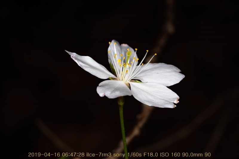 ag-20190416-16
