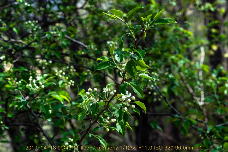 ag-20190419-02