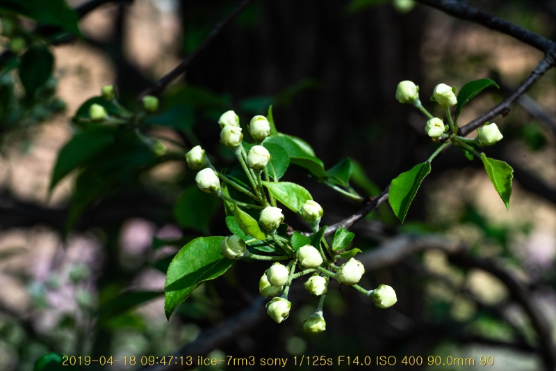 ag-20190419-04