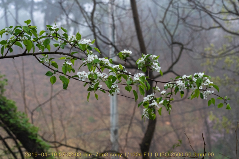ag-20190419-06