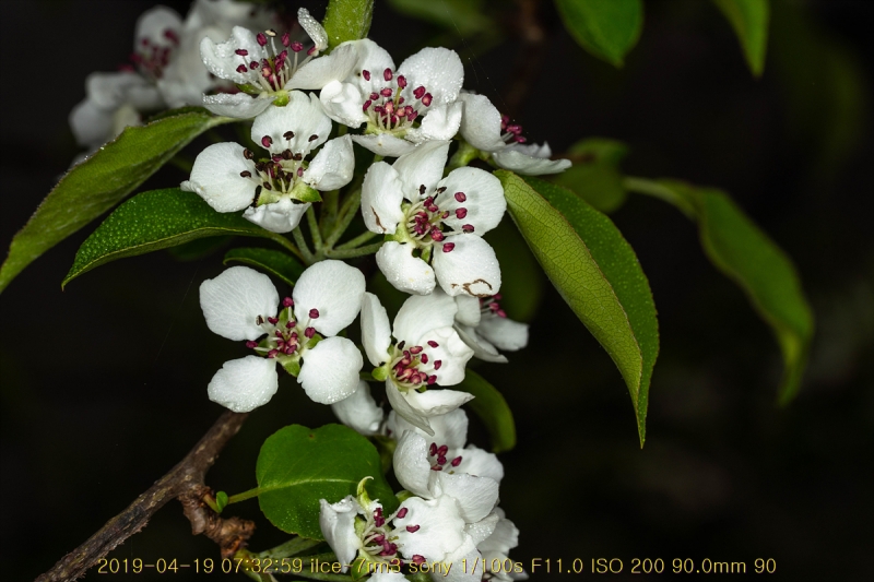 ag-20190419-08
